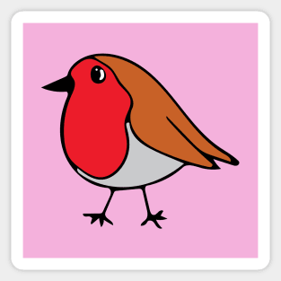 Robin print on pink Sticker